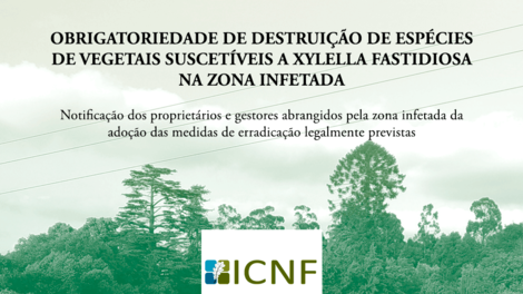 EDITAL - Obrigatoriedade de destruição de espécies de vegetais suscetíveis a Xylella Fastidiosa na zona infetada