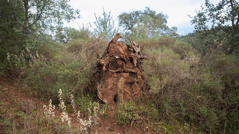 O Retorno do Mundo - memória e vertigem