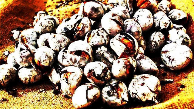 MAPA ATRIBUIÇÃO DE LUGARES VENDA AMBULANTE DE CASTANHAS