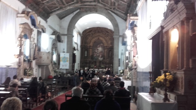 TARDE DE CANTARES DE JANEIRAS ANIMADO