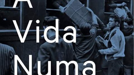 A VIDA NUMA MALA