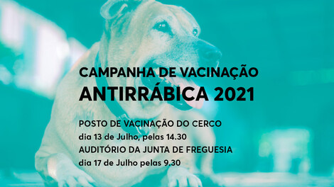 Campanha de vacinação antirrábica 2021