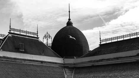 O Mercado do Bolhão em fotografia no Mira Fórum