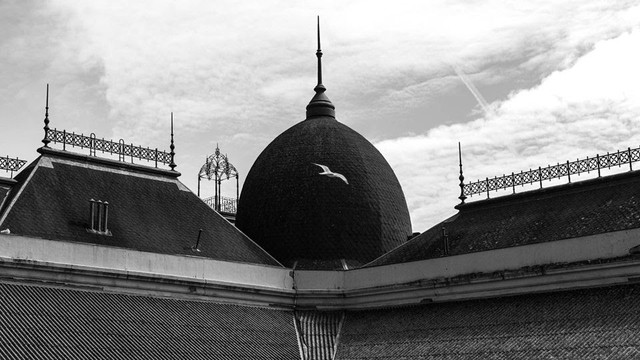 O Mercado do Bolhão em fotografia no Mira Fórum O Mercado do Bolhão em fotografia no Mira Fórum