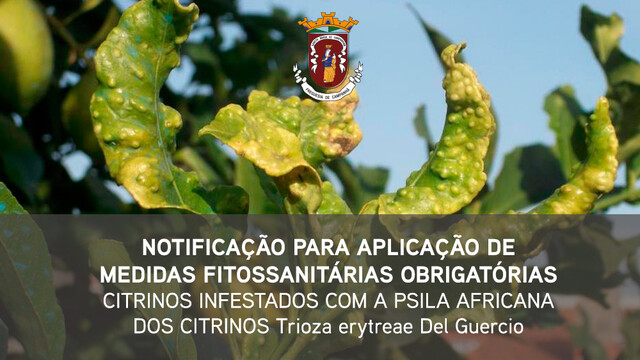 NOTIFICAÇÃO PARA APLICAÇÃO DE MEDIDAS FITOSSANITÁRIAS OBRIGATÓRIAS