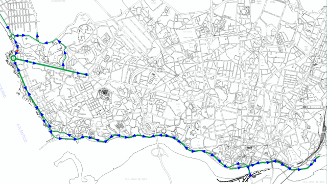 Condicionamento de trânsito e estacionamento “Maratona do Porto 2019”