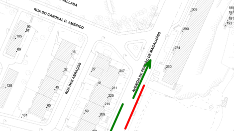 Prorrogação do condicionamento de estacionamento - FERNÃO DE MAGALHÃES