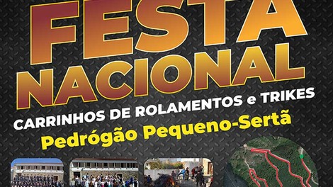 Final do campeonato nacional de carrinhos de rolamentos