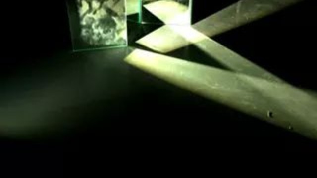 ESTE FIM DE SEMANA EM MIRAFLOR