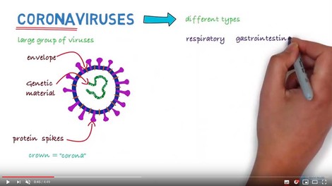 Atualização | Autoridade Saúde | COVID-19