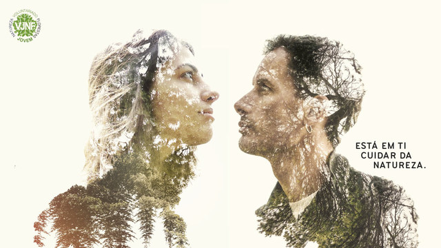 Programa Voluntariado Jovem para a Natureza e Florestas