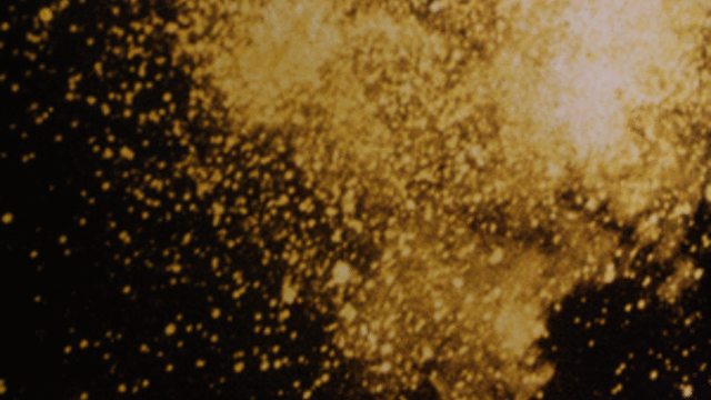 Amanheceu enquanto conversavamos -MANUAL DE SOBREVIVENCIA